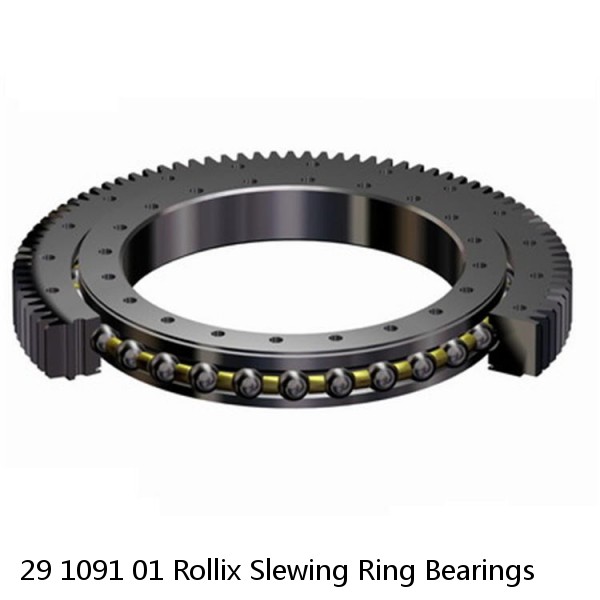 29 1091 01 Rollix Slewing Ring Bearings