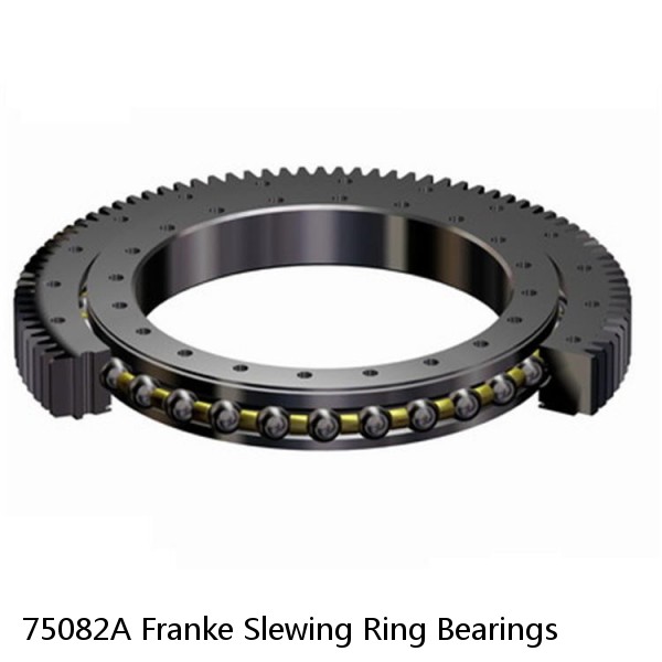 75082A Franke Slewing Ring Bearings