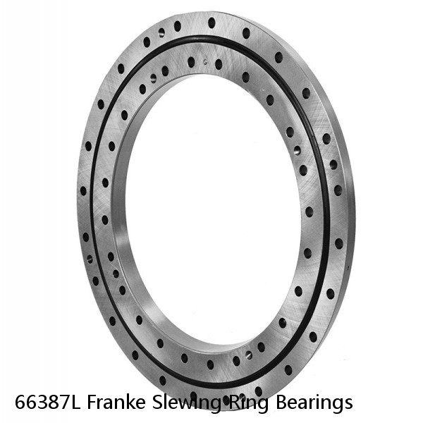 66387L Franke Slewing Ring Bearings