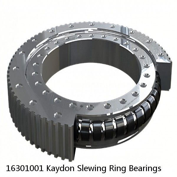 16301001 Kaydon Slewing Ring Bearings