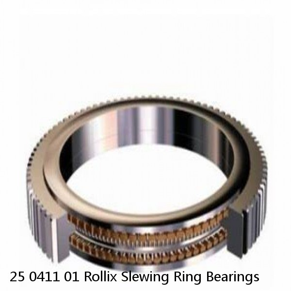 25 0411 01 Rollix Slewing Ring Bearings