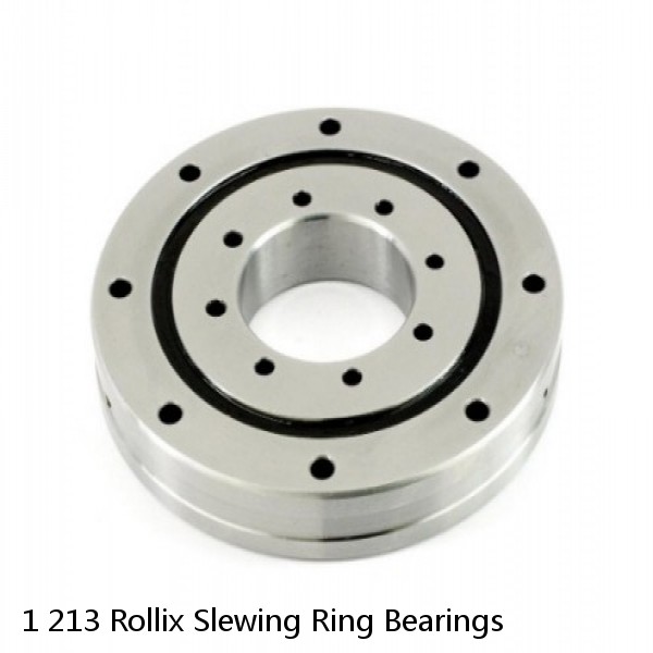 1 213 Rollix Slewing Ring Bearings