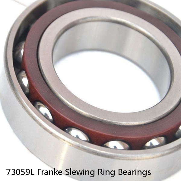 73059L Franke Slewing Ring Bearings