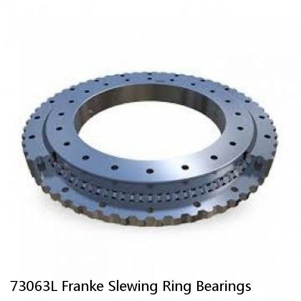 73063L Franke Slewing Ring Bearings