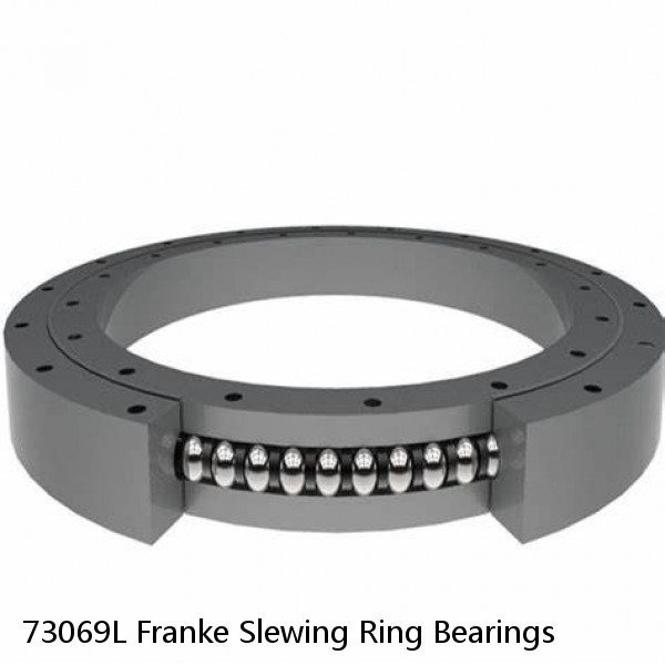 73069L Franke Slewing Ring Bearings