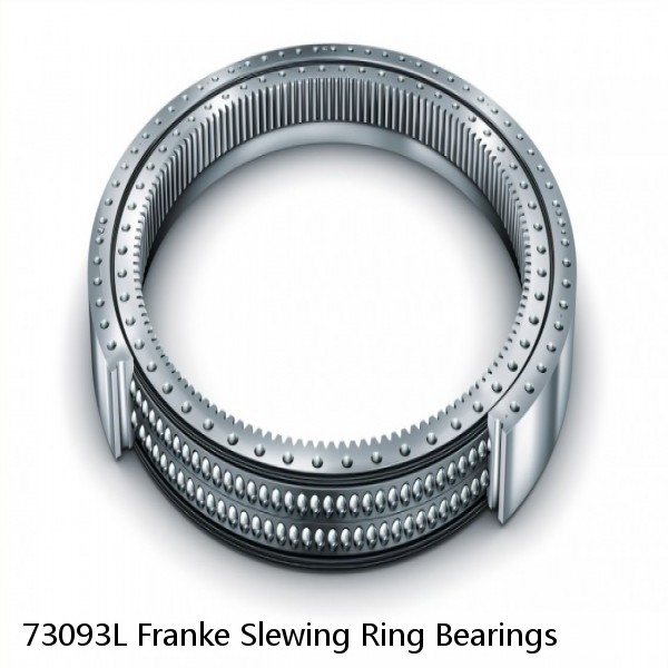 73093L Franke Slewing Ring Bearings