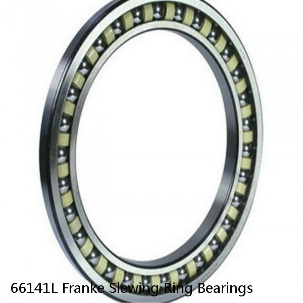 66141L Franke Slewing Ring Bearings