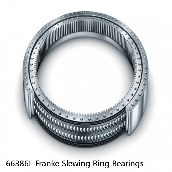 66386L Franke Slewing Ring Bearings