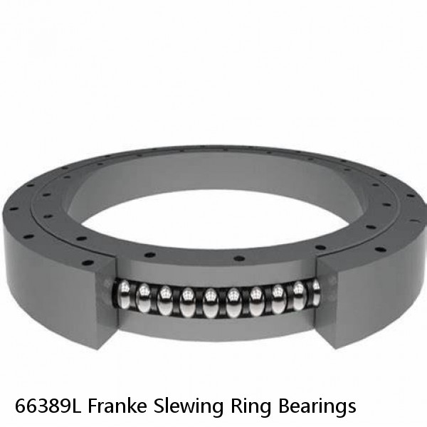 66389L Franke Slewing Ring Bearings