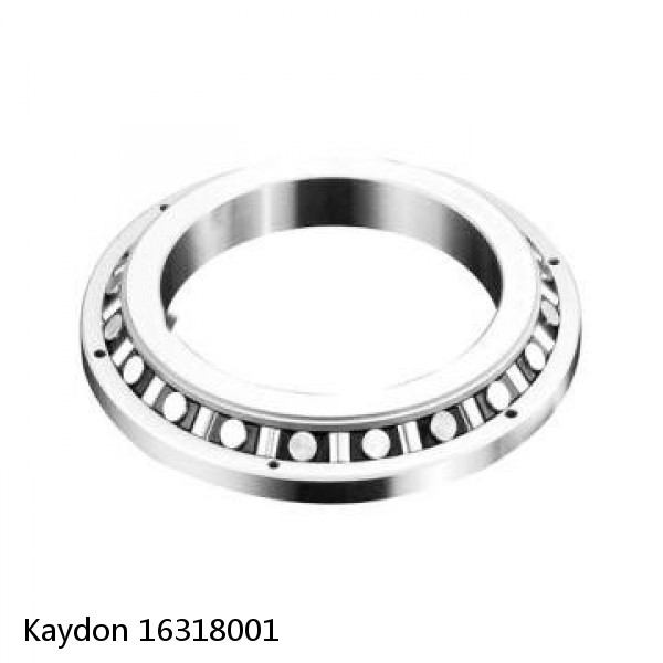 16318001 Kaydon Slewing Ring Bearings