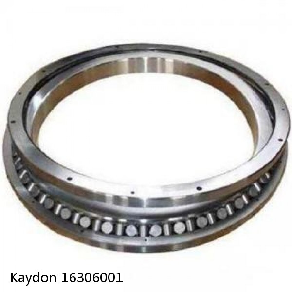 16306001 Kaydon Slewing Ring Bearings