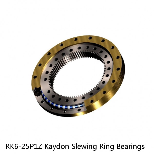 RK6-25P1Z Kaydon Slewing Ring Bearings