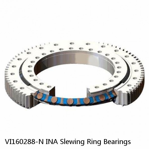 VI160288-N INA Slewing Ring Bearings