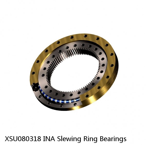 XSU080318 INA Slewing Ring Bearings