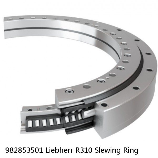 982853501 Liebherr R310 Slewing Ring