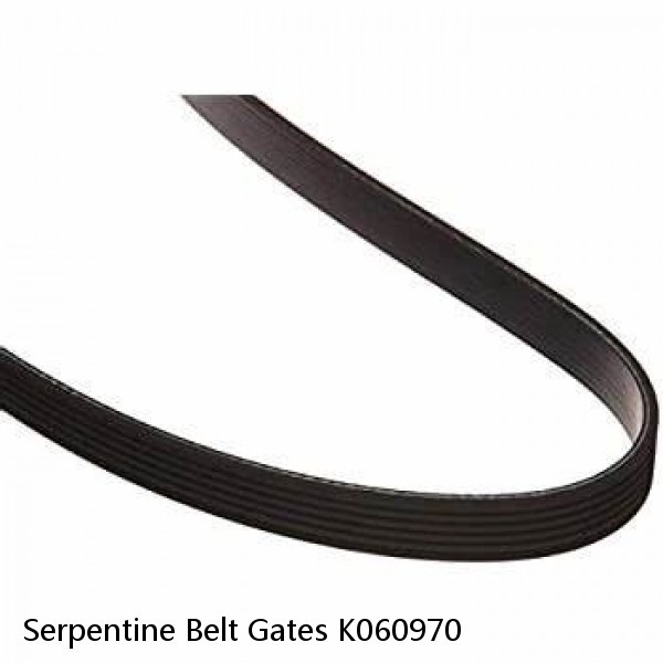 Serpentine Belt Gates K060970